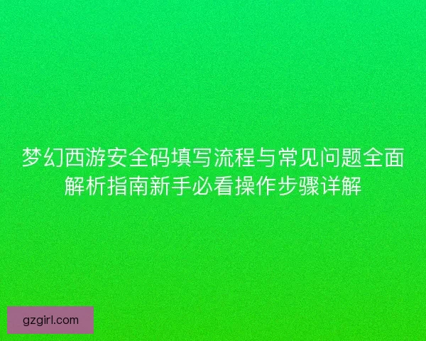 梦幻西游安全码填写流程与常见问题全面解析指南新手必看操作步骤详解